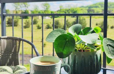 Celine Apartments - Foto 9