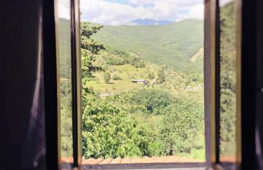 THE DORMOUSE - Il Ghiro - Foto 45