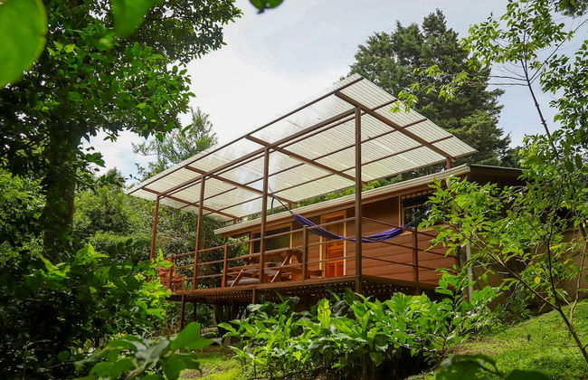 Los Pinos Cabanas y Jardines - Photo 26