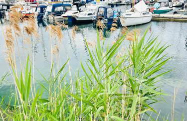 Hausboot Albatros - Foto 20