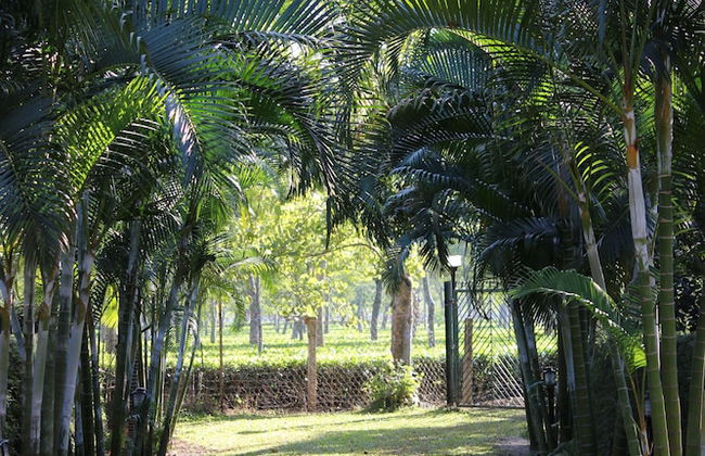 Mancotta Heritage Chang Bungalow - Foto 18