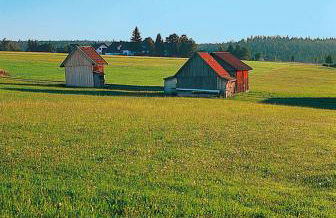 Landhaus Sackmann - Foto 21