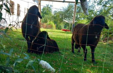 Ferienwohnung Andre - Foto 11