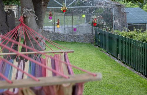 The Red Bougainvillea Apartments - Foto 67