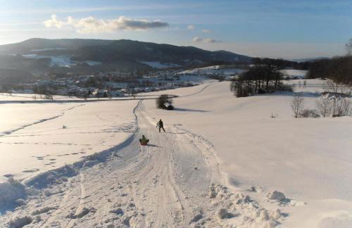 Wellness Ferienwohnungen Zellertalblick - Foto 11