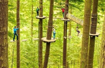 Fully accessible bungalow by the Beach - Photo 33