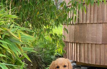 Tiny House Igluhut - Foto 31