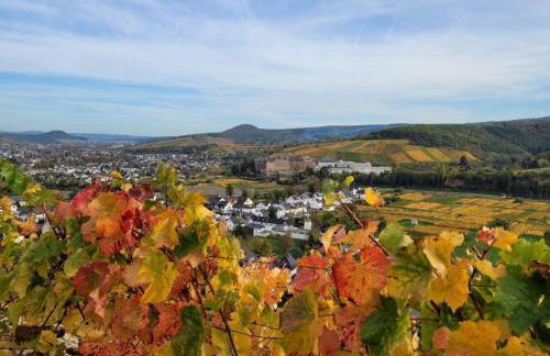 Ferienwohnung Grüner Horizont - Foto 14