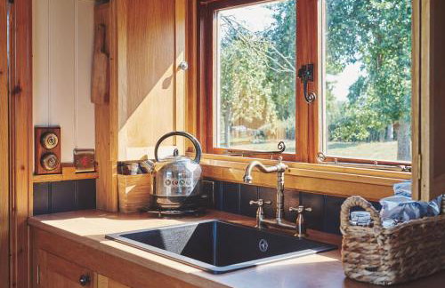 Curious Calf - Foto 8