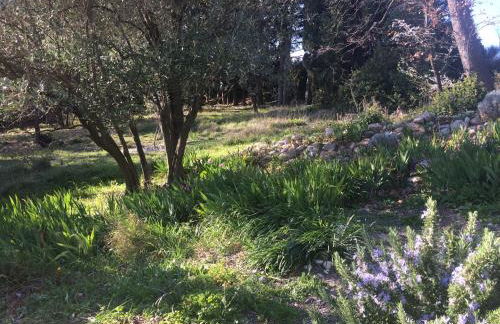 Domaine Fontaine - Foto 54