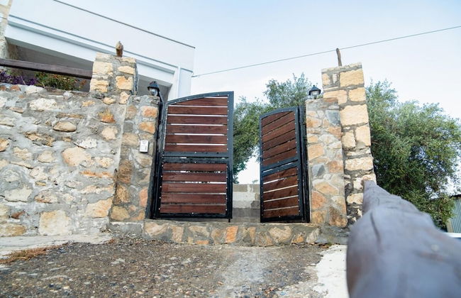 Traditional Villa in Fres - Foto 77