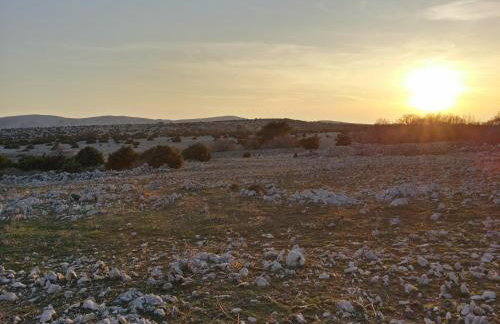 Apartments Sersic - Photo 50