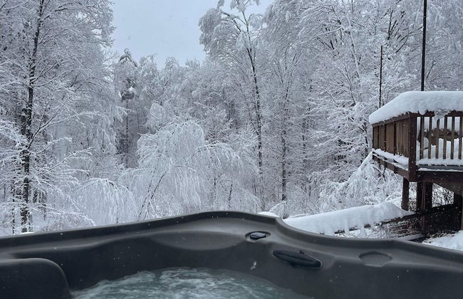 Forest Mountain Escape: Beautiful Mountaintop Escape In Mendon, Vt. 20 Min To Killington/14 To Pico. 4 Bedroom Home - Foto 9