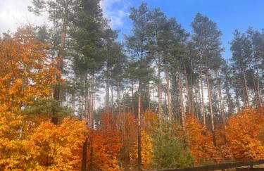 Dom nad jeziorem - Foto 23