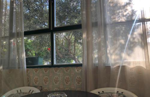 Garden apartman Split - Foto 36