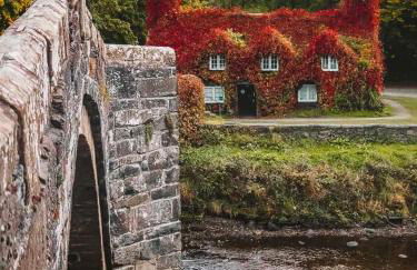 Apothecary Hall - Snowdonia - Photo 2