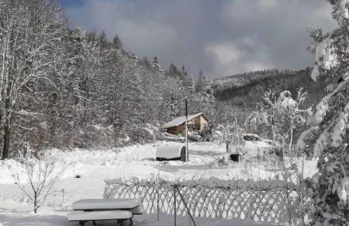 Holiday Home in Vosges with Garden and BBQ - Foto 36