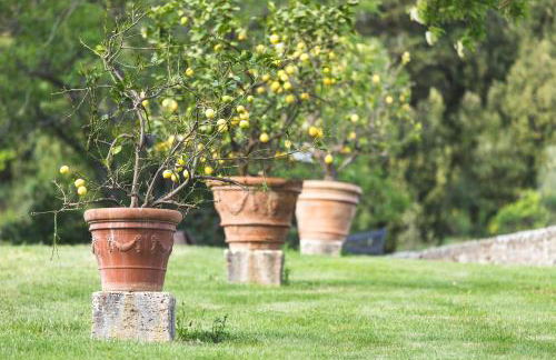 Agriturismo Villa Buoninsegna - Foto 19