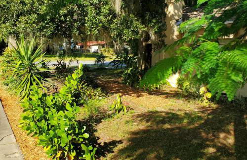 1 Beige Cozy Bungalow or 1 White Cozy Efficiency Cottage in Titusville - Foto 12