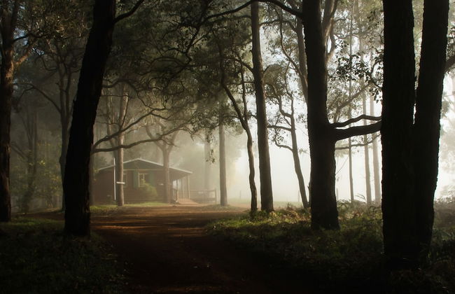 Balingup Heights Hilltop Forest Cottages - Foto 47