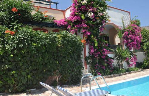 Studios Irineos - Foto 22