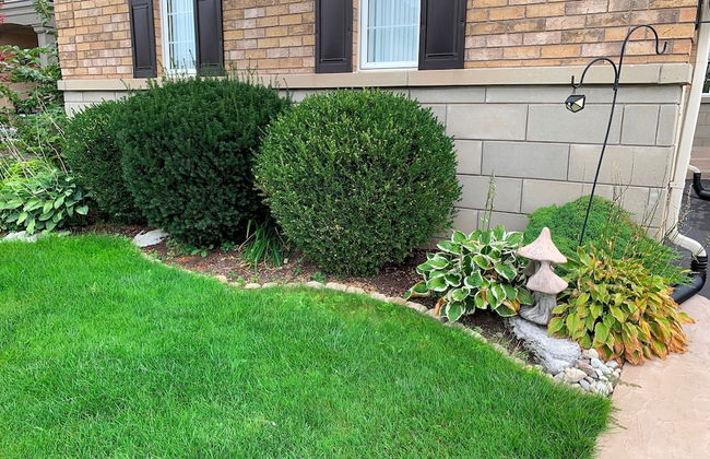 Affluent Guest House - Photo 16