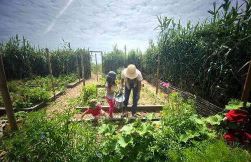 Caso no Campo - Stunning Home By The Sea - Foto 27