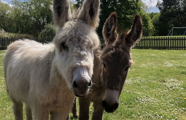 Northlands Farm & Lakes - Foto 39