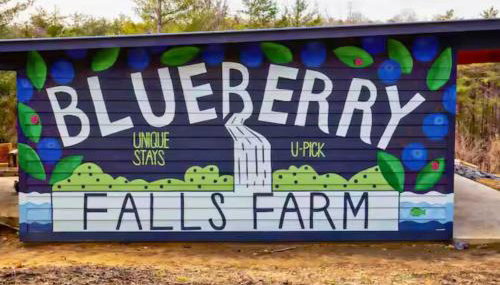 Blueberry Farm Cottage, Hot Tub, Creek, Game Room - Foto 3