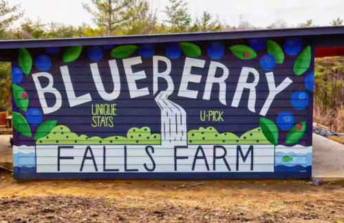 Blueberry Farm Cottage, Hot Tub, Creek, Game Room - Foto 3