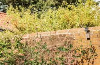 Mulberry Coach House - Foto 12