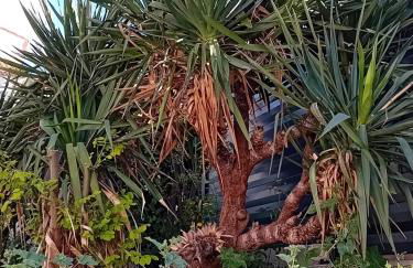 Bas de villa avec jardin piscine clim proche plages calanques - Foto 24