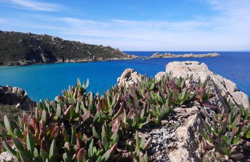 Le Villette di Ruoni - Photo 1