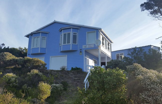 The Mermaids Tail - Foto 18