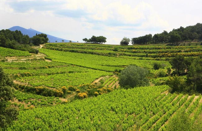 Holiday Home Vaison With Private Pool - Photo 36
