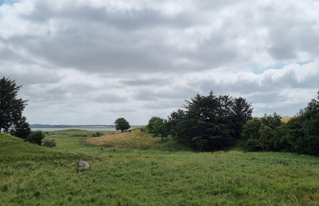 40 Person Holiday Home in Hurup Thy - Foto 5