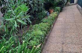 Piccula Casa - Foto 27