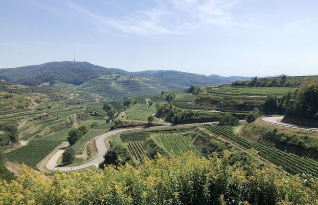 Holiday Apartment Kromer - Foto 20