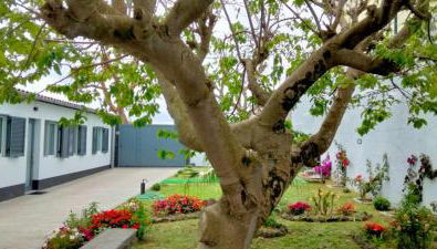 Casa Belém 5 - Foto 5