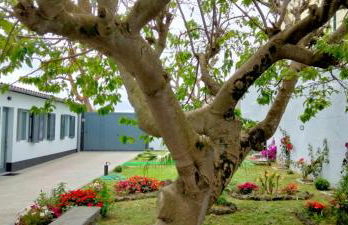 Casa Belém 5 - Foto 5