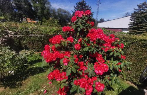 Apartamentos Rurales Villa del Sain Cudillero - Foto 128
