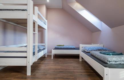 Przytulisko Leszczewek - Foto 10