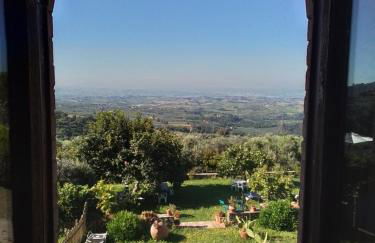 Poderino La Noce - Foto 22