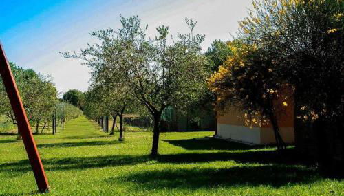 Il Poggetto 2 - Foto 3, Garden