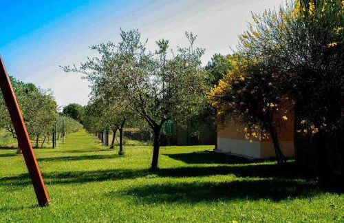 Il Poggetto 2 - Foto 3