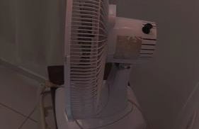 Casas Mobiliadas Jabutiana - Foto 25