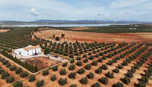 Cortijo La Torquilla Laguna Fuente de Piedra - Foto 2