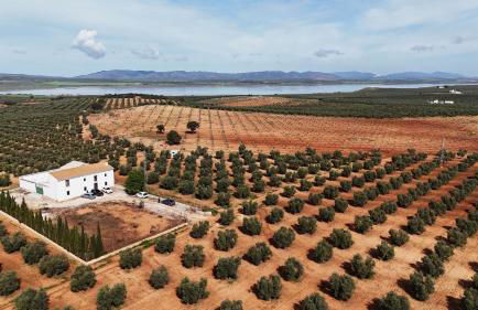 Cortijo La Torquilla Laguna Fuente de Piedra - Foto 2