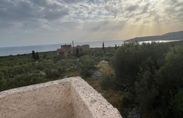 Mani Spot Nezoulas - Photo 32