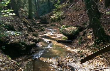 Ferienwohnung Günther - Foto 8